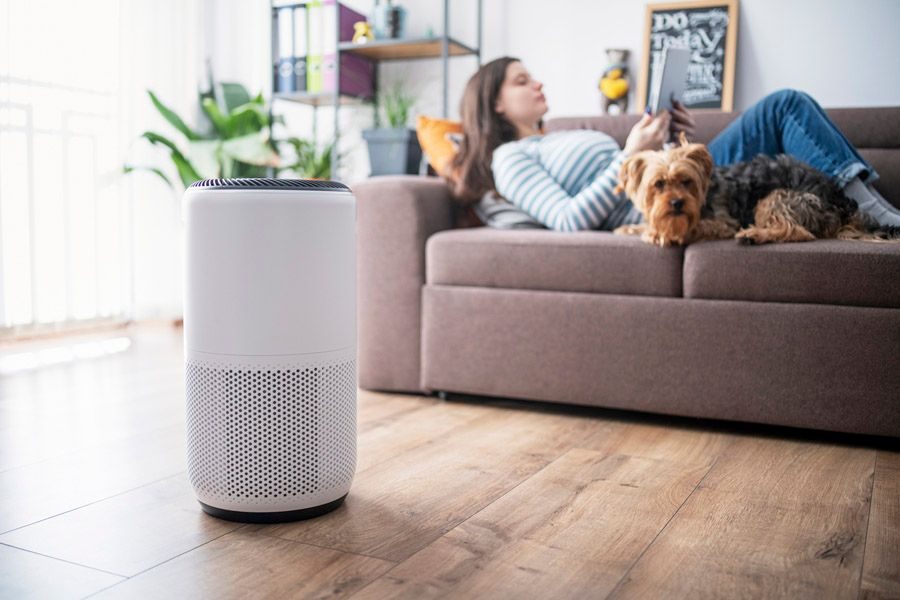 Smart speaker on the wooden floor with a woman and her dog relaxing on a sofa in a bright living room.