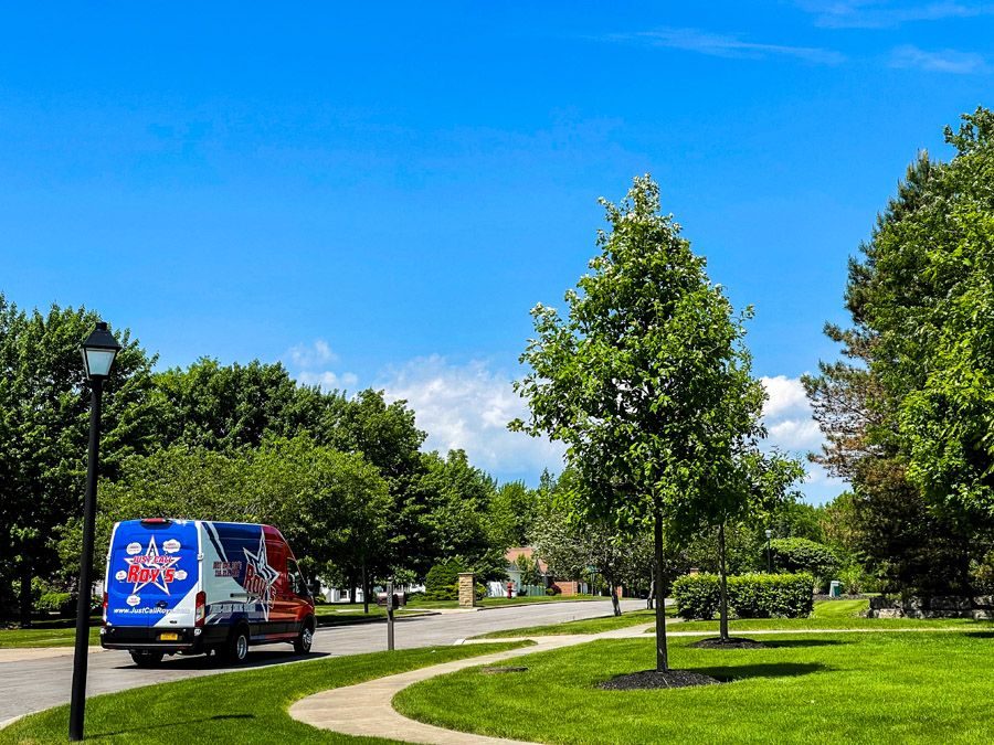 Blue van with red and white graphics driving along a curved suburban street beside a grassy park with trees under a bright blue sky.