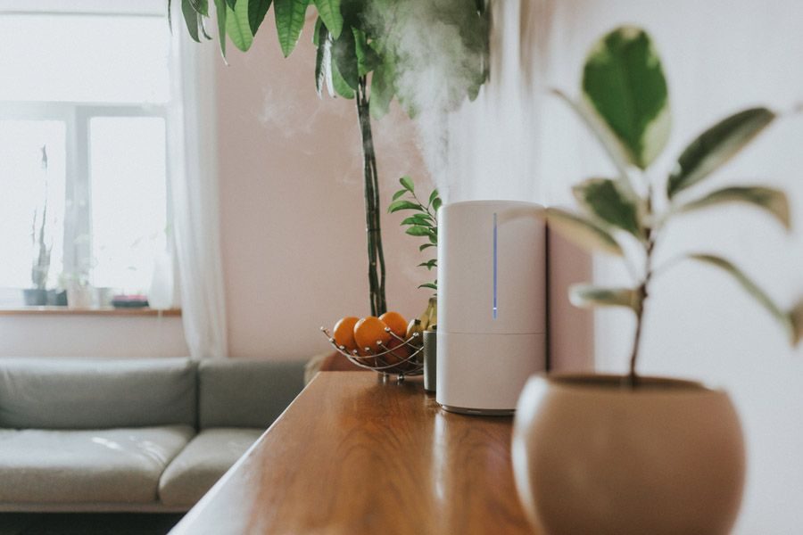 Living room scene with a wooden counter, potted plant, fruit bowl of oranges, and a white air purifier against a pale wall.